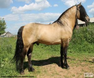 пазл Вятская лошадь, происходящих в России